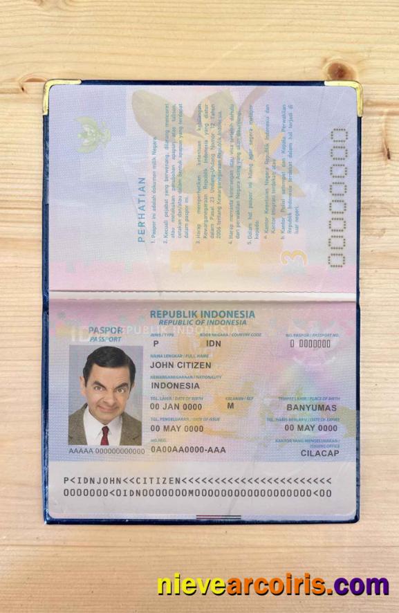 Indonesia pass photolook